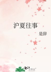 沪夏往事