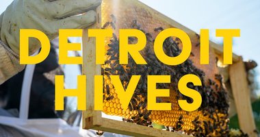 Detroit Hives