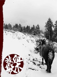 血木悲歌