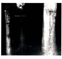 Charcoal