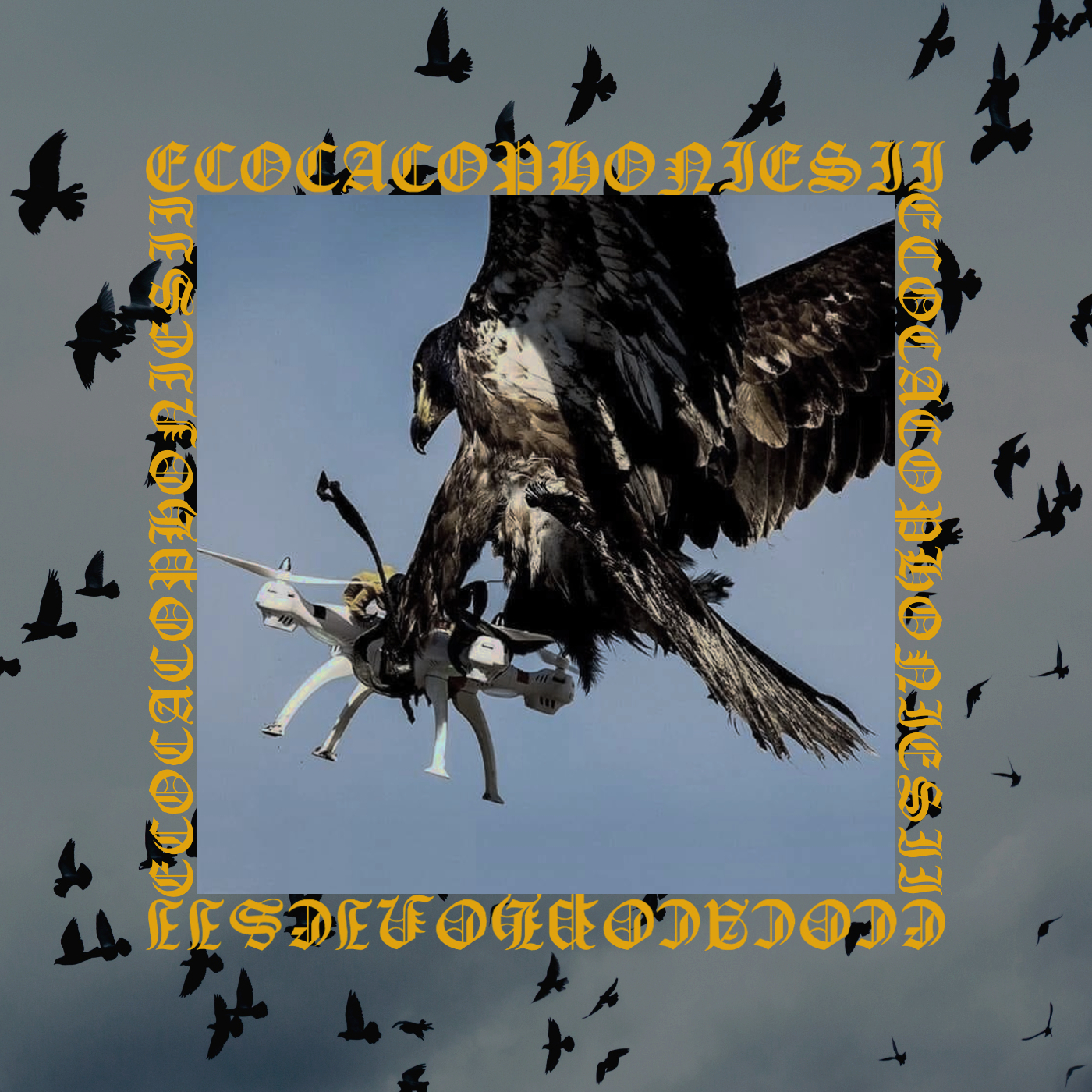 Ecocacophonies II