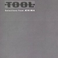 Selections From Ænima