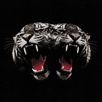 Dead Company