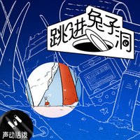 跳进兔子洞