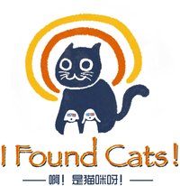 啊！ 是猫咪呀！