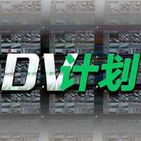 DV计划
