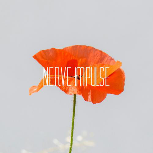 Nerve Impulse