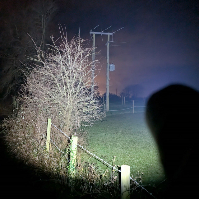 Electric Angels and Digital Ghosts