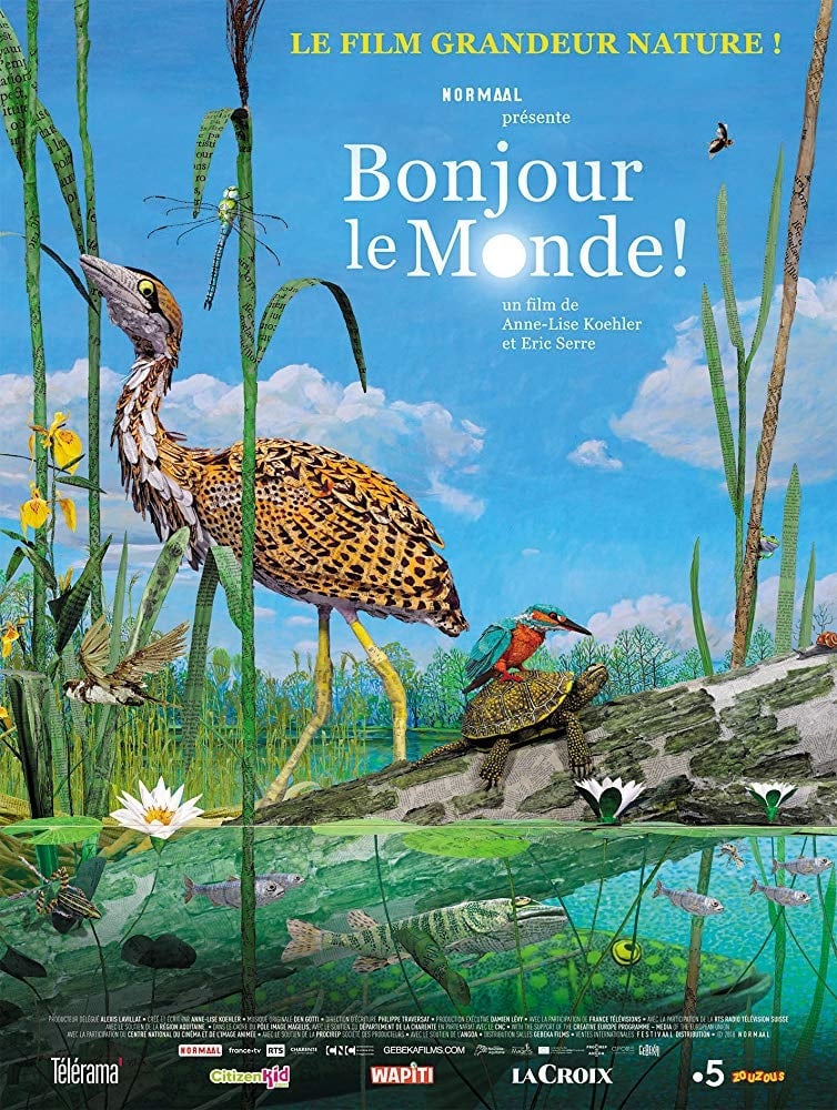 cover