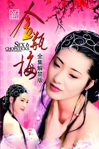 新金瓶梅