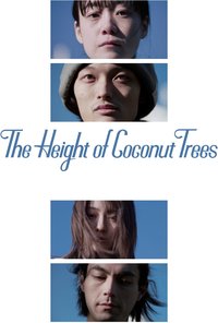 The Height of the Coconut Trees