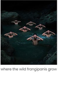 Where the Wild Frangipanis Grow