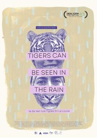 Tigers Can Be Seen In The Rain