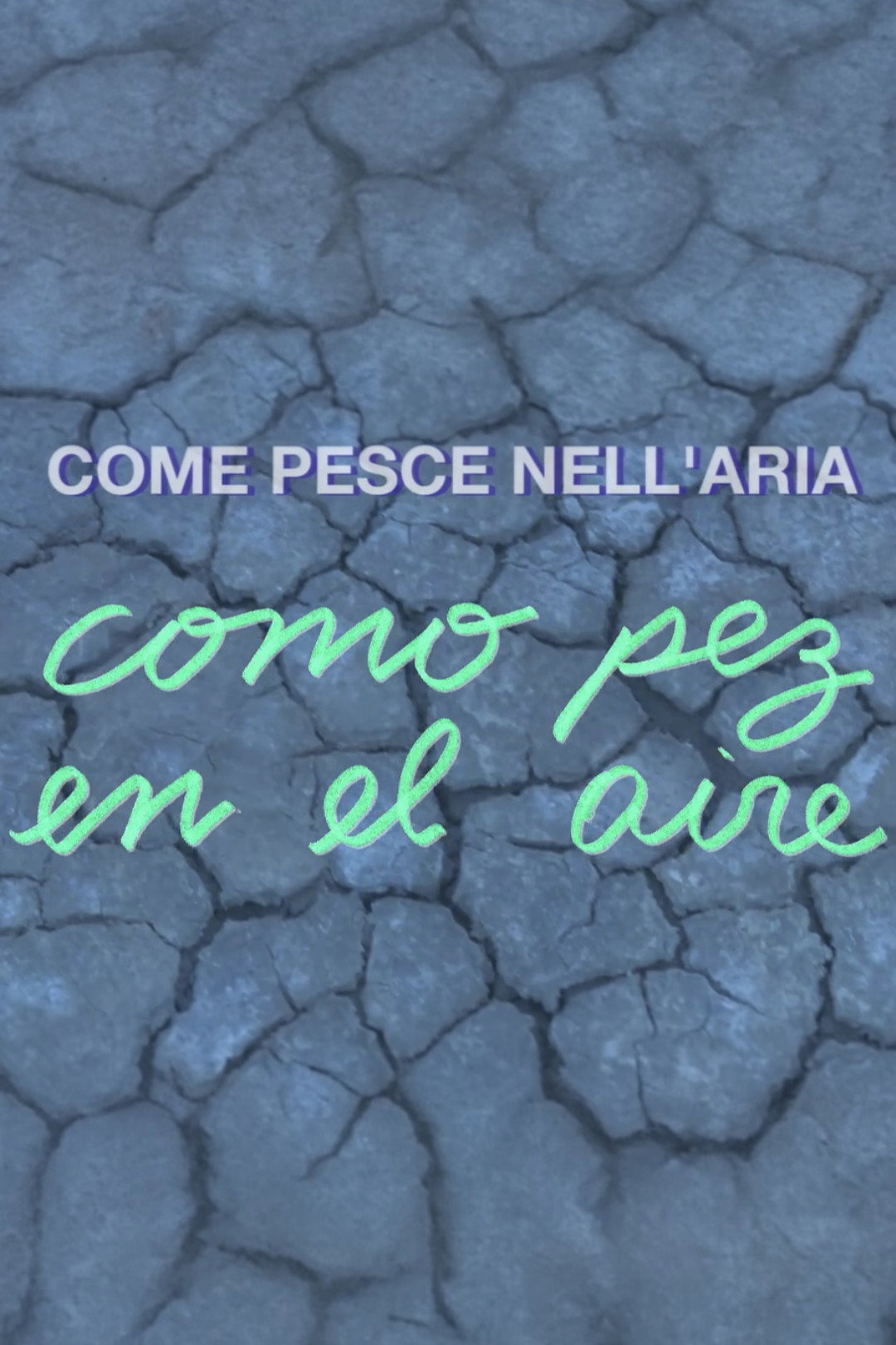 Como pez en el aire