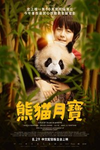 Moon the Panda