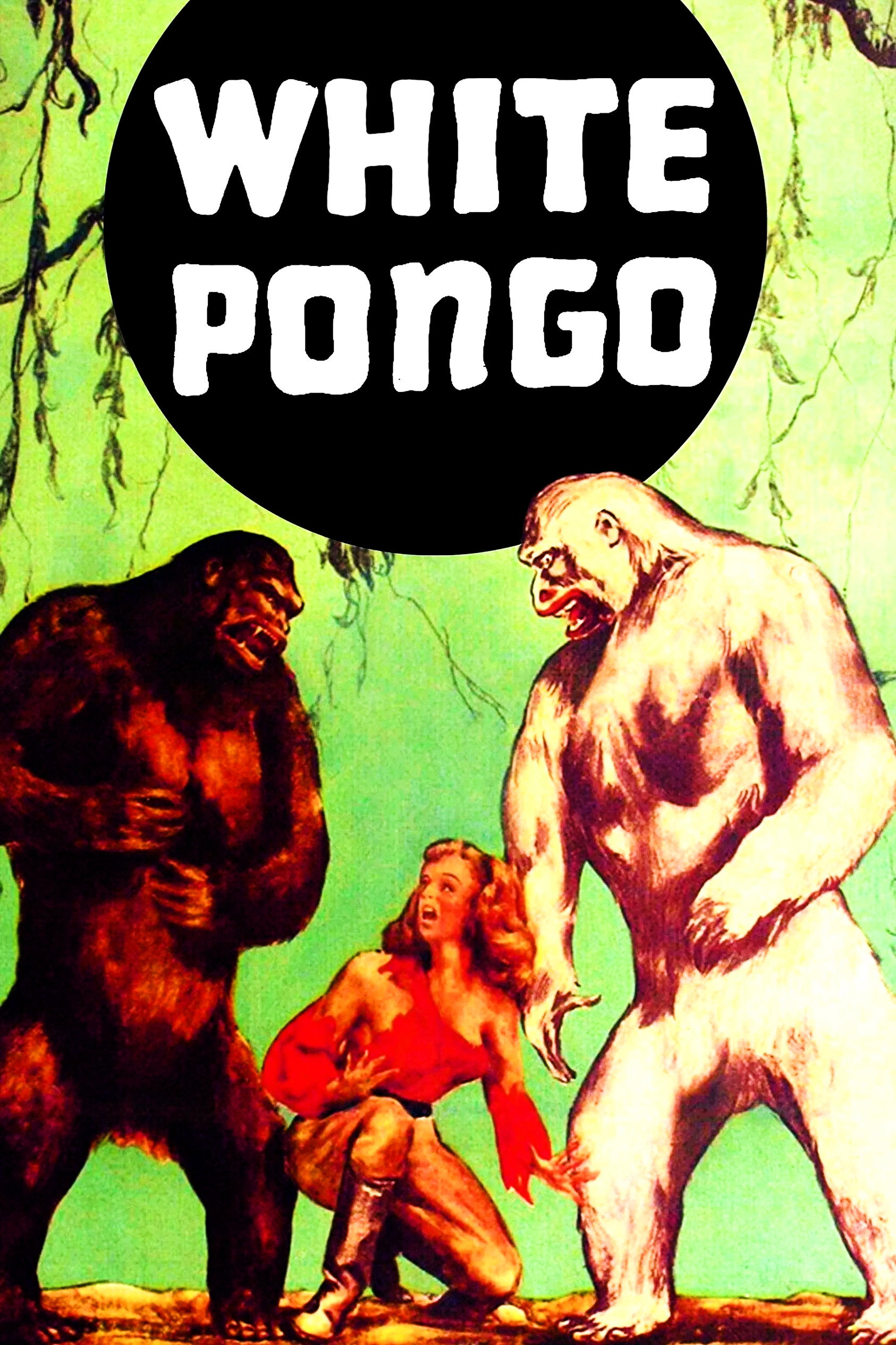 Der Weiße Pongo