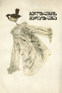 Migrating Sparrows