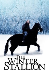 The Winter Stallion