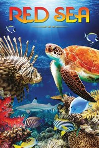 海底风光