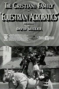Equestrian Acrobats