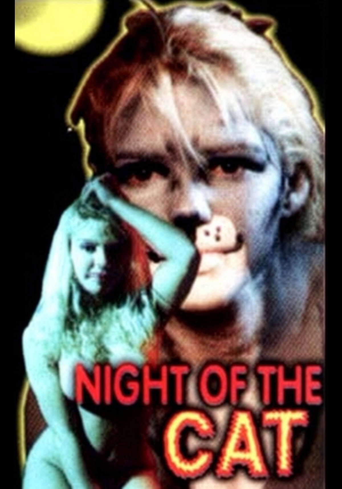 Night of the Cat
