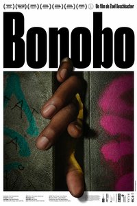 Bonobo