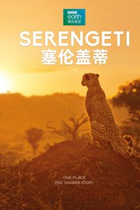 Serengeti