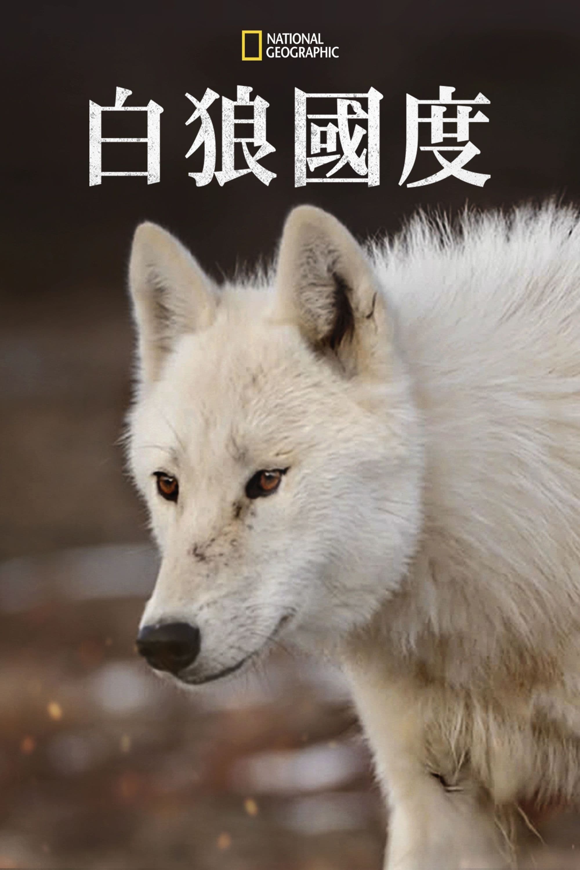 Kingdom of the White Wolf