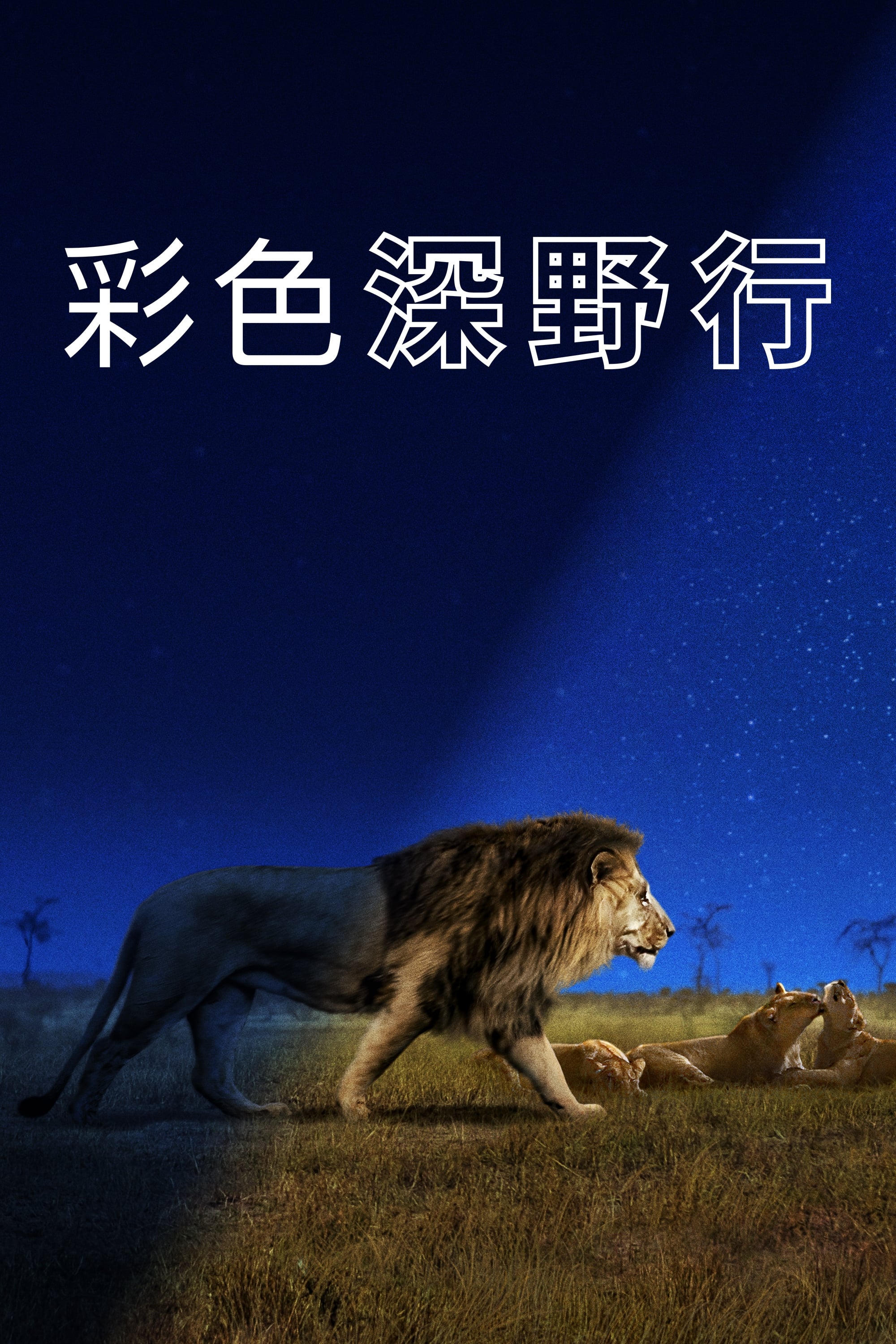 夜色中的地球