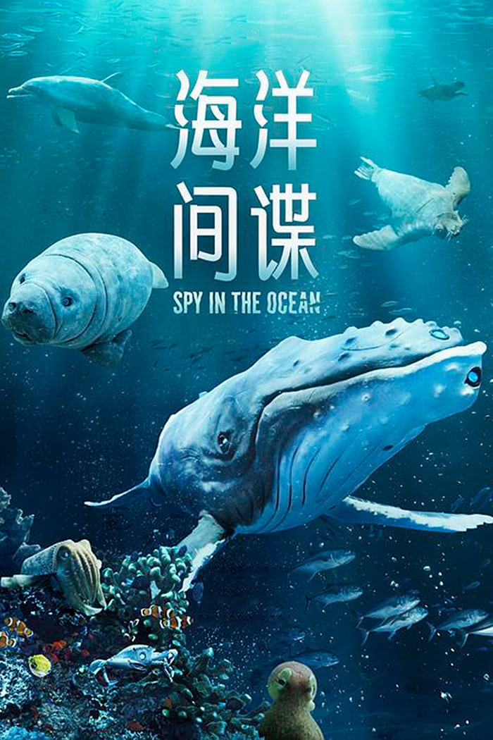 Spy in the Ocean