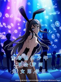 Rascal Does Not Dream of Bunny Girl Senpai