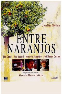 Entre naranjos