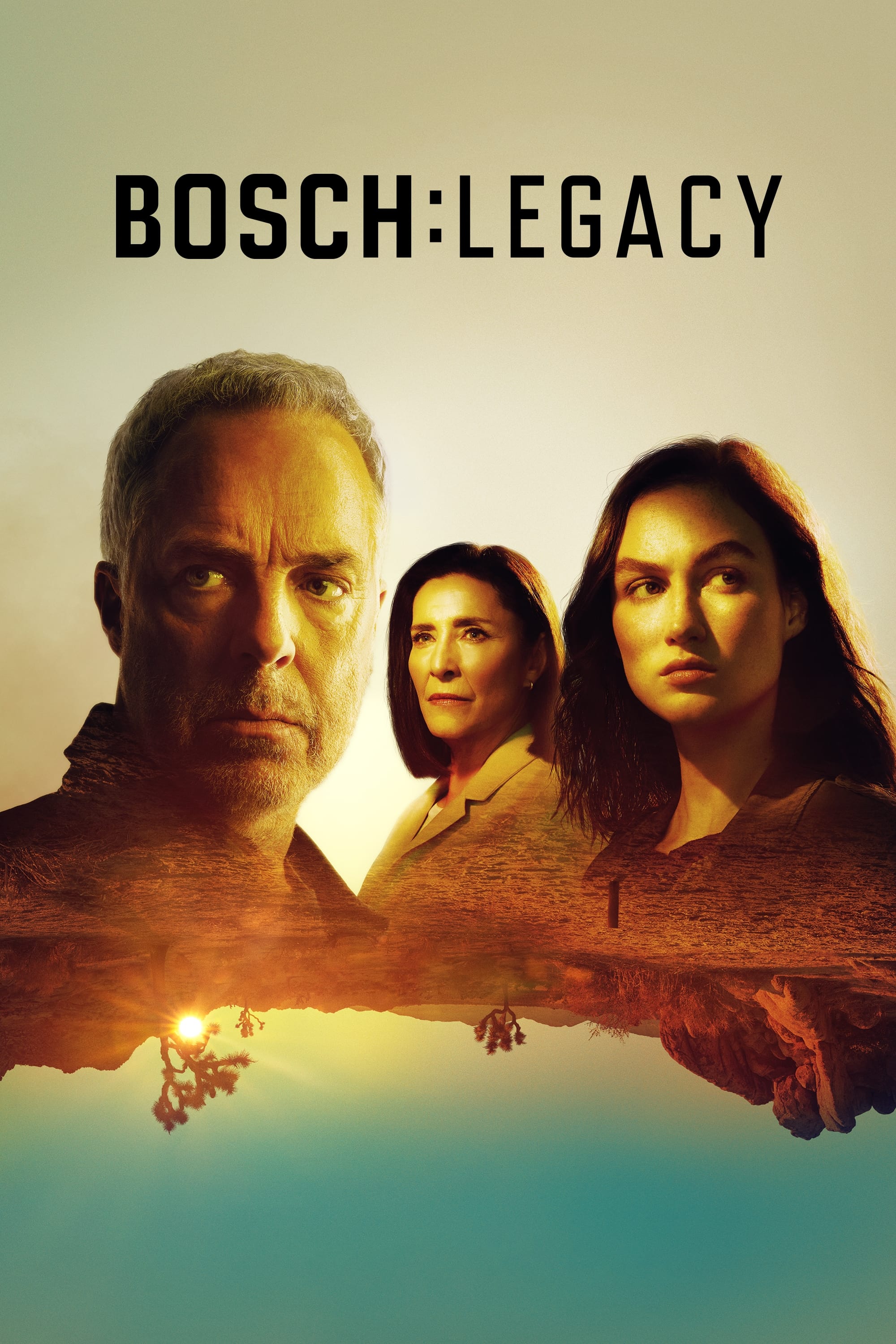 Bosch: Legacy (博斯：传承 第 2 季)