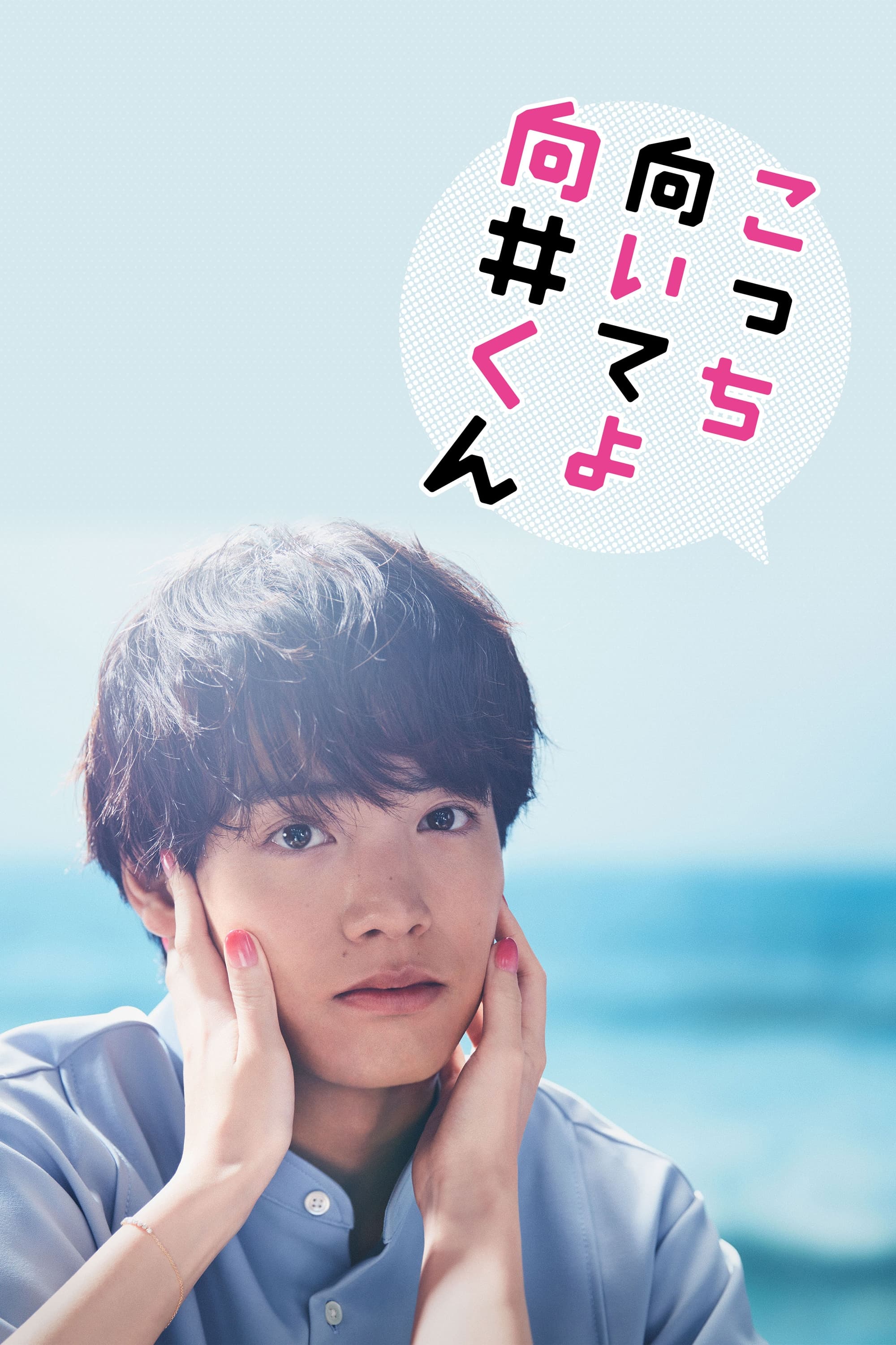 往这边看 向井君 第 1 季