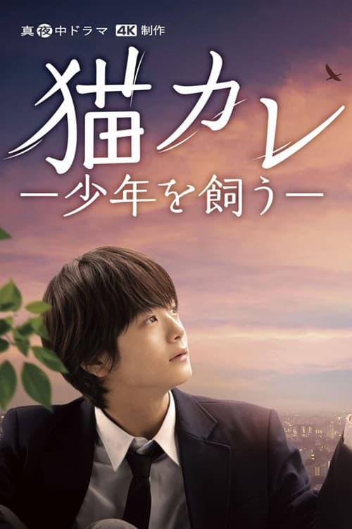 猫男友 我养了个少年 第 1 季