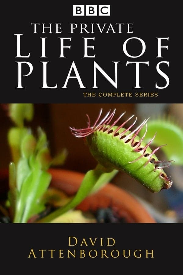 植物私生活 特别篇