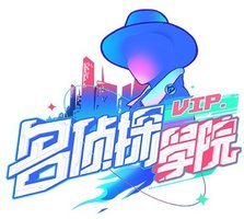 Detective Academy Season 1