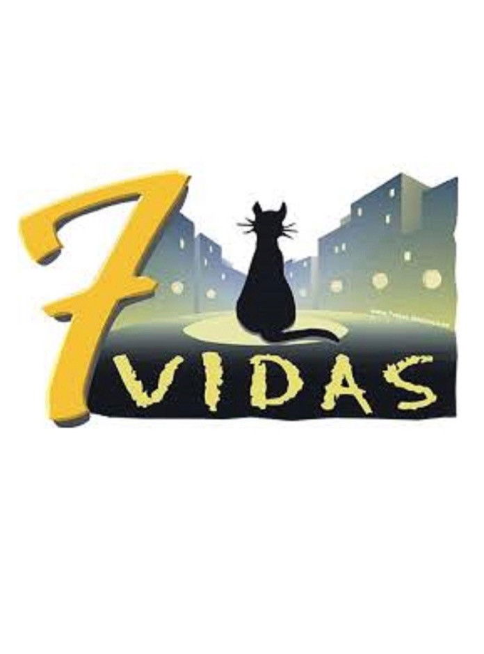 7 vidas Season 15