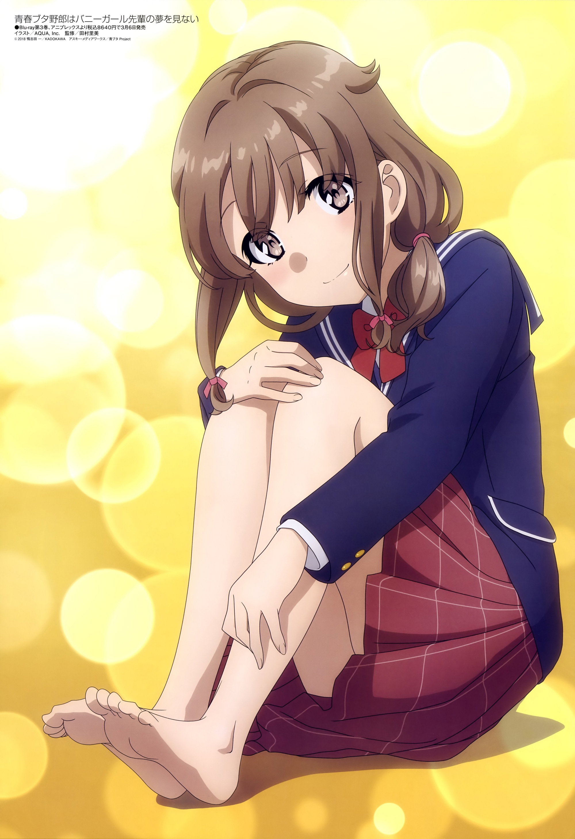 Rascal Does Not Dream of Bunny Girl Senpai (Specials)