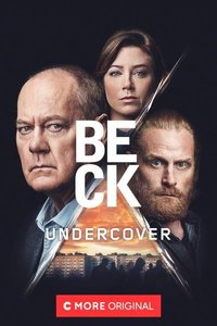 Beck Season 8