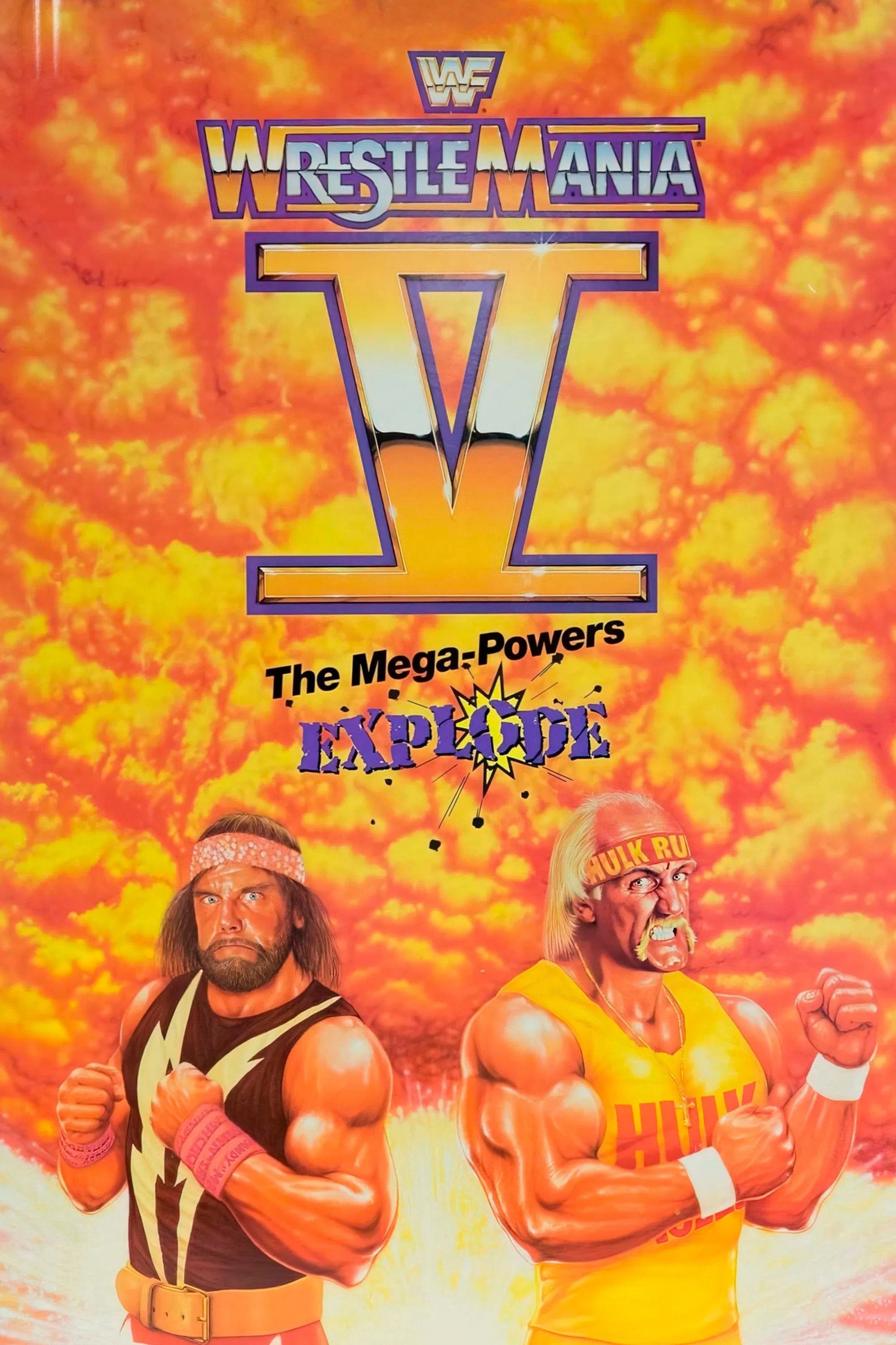 WWE Pay Per View Season 5