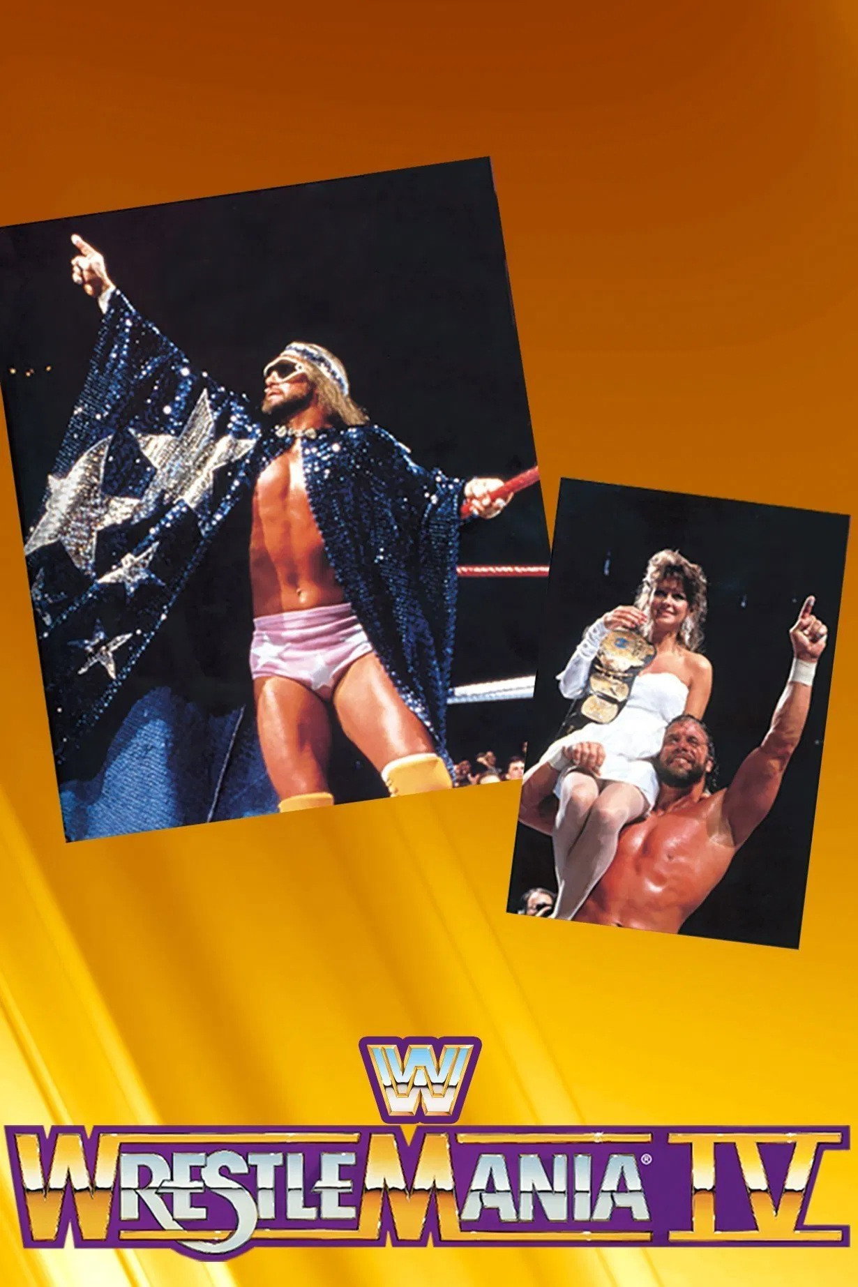 WWE Pay Per View Season 4