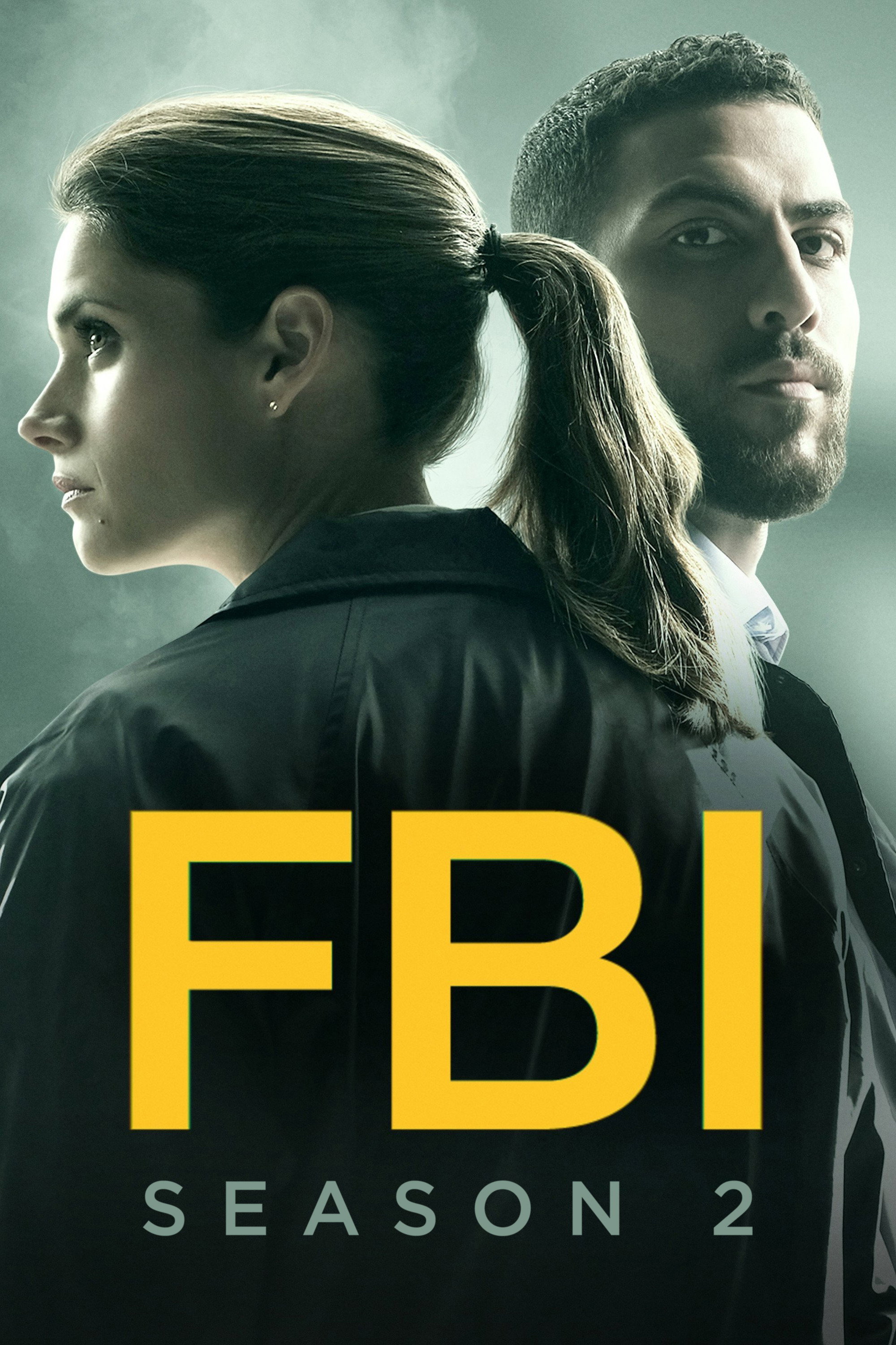FBI sæson 2