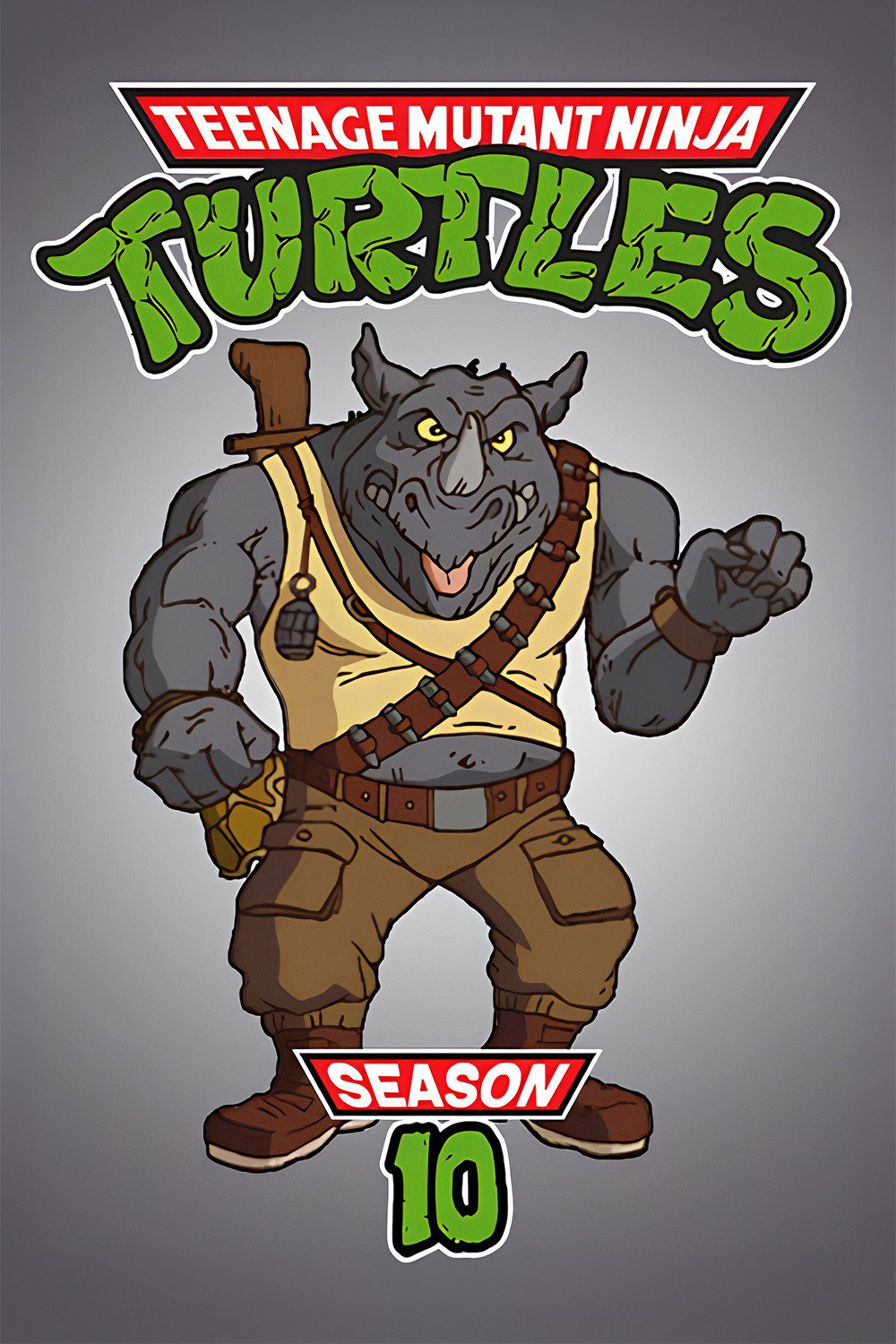 Teenage Mutant Ninja Turtles Season 10