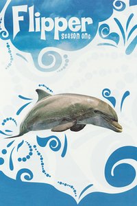 Flipper sæson 1