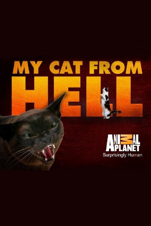 My Cat from Hell (Specials)