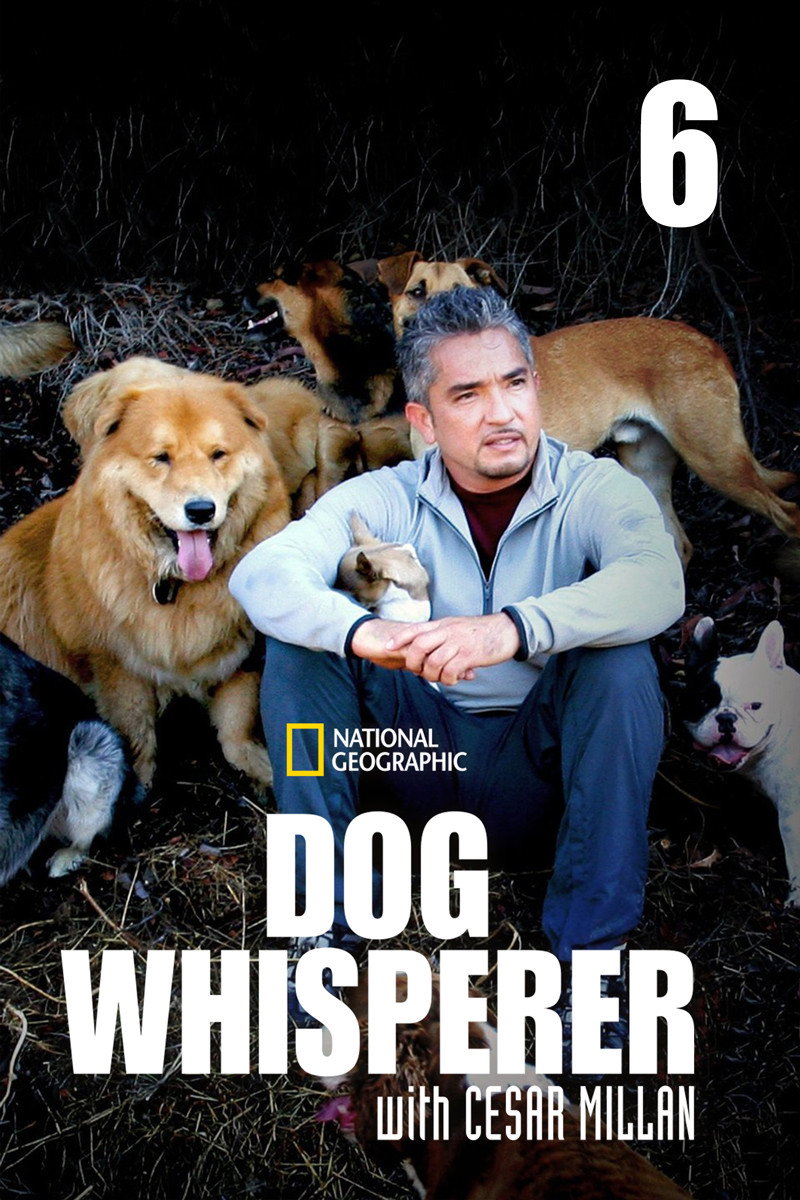 Dog Whisperer with Cesar Millan Season 6