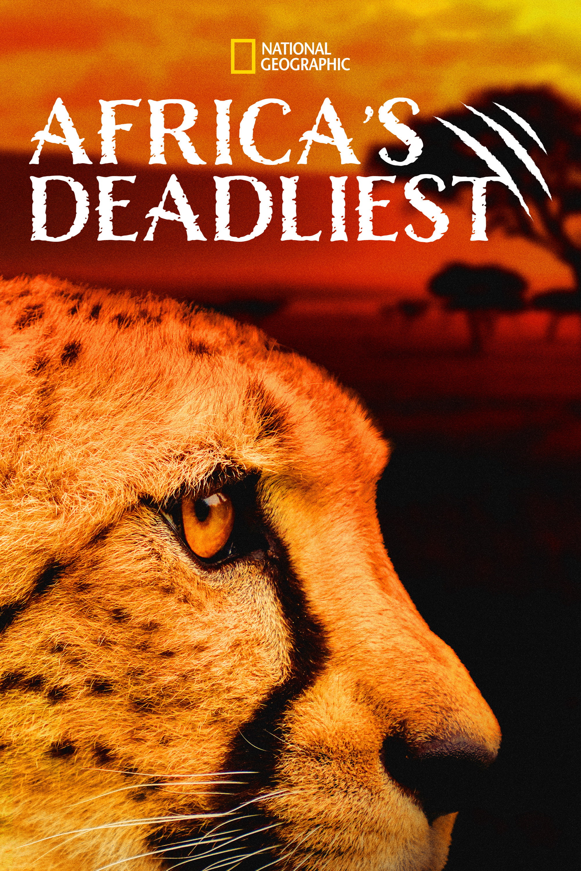 Africa's Deadliest Season 4