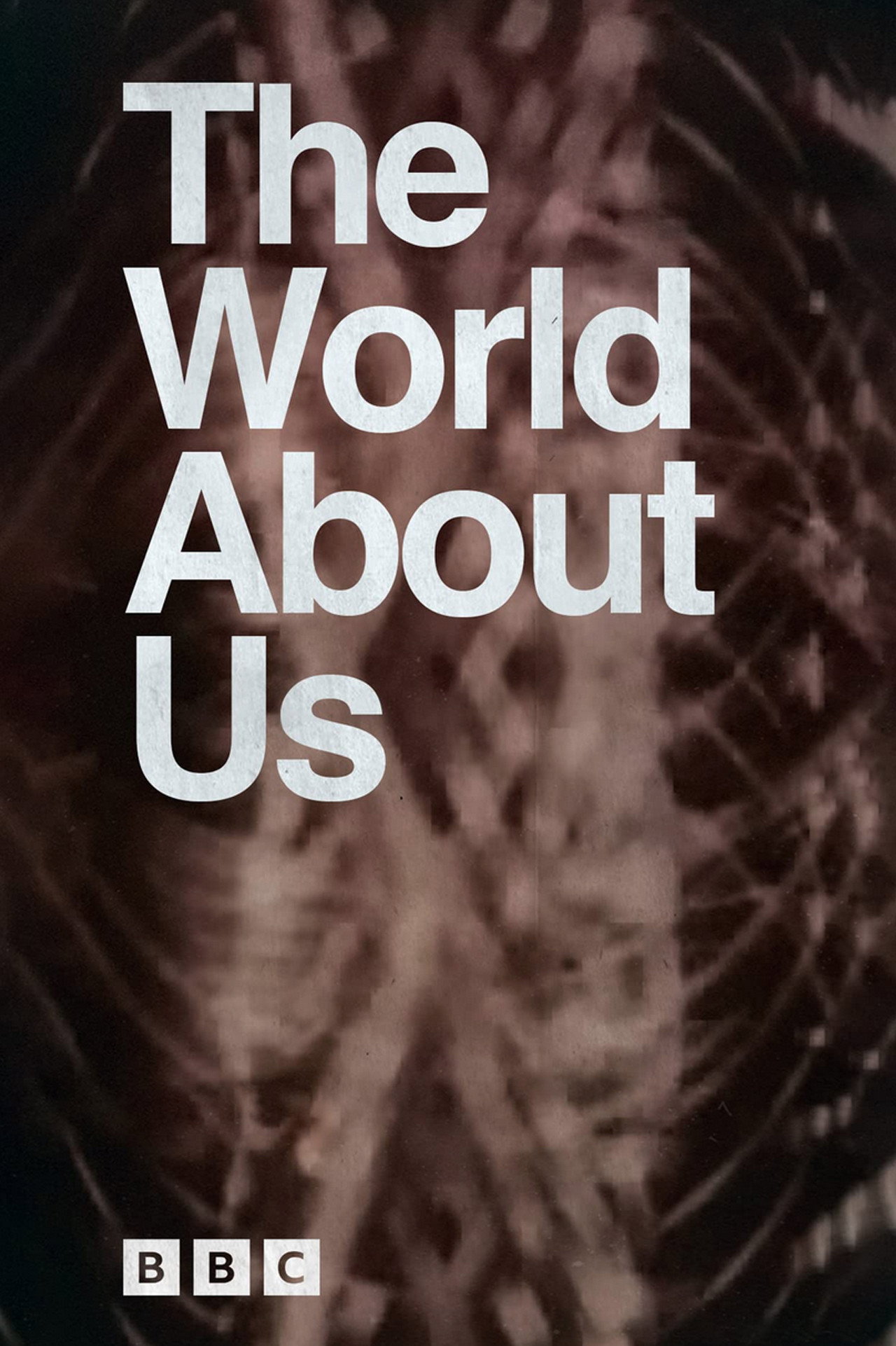 The World About Us Season 1