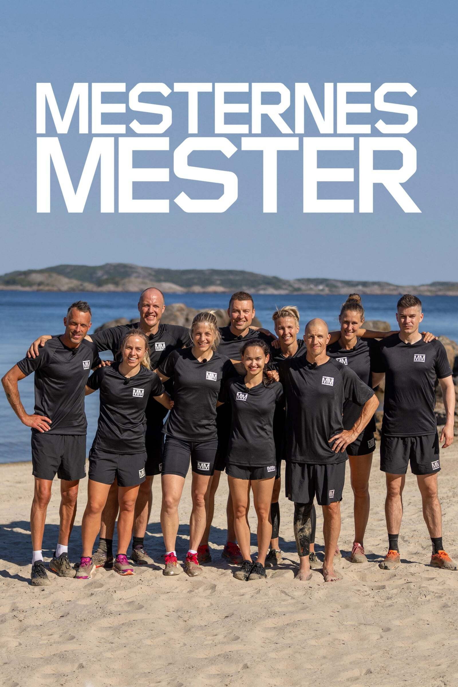 Mesternes mester Stagione 15